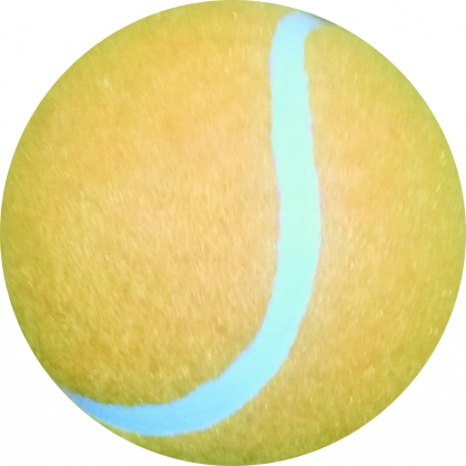 Tennis Ball